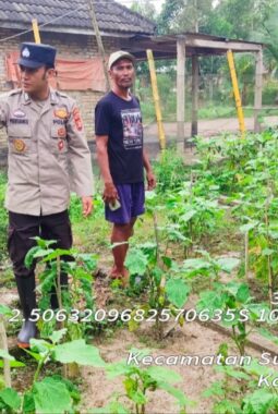 Bhabinkamtibmas Polsek Muara Telang Ajak Warga Manfaatkan Pekarangan untuk Dukung Ketahanan Pangan