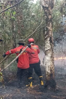 Gerak Cepat Polsek Banyuasin III Bersama Manggala Agni Padamkan Karhutla di Seterio