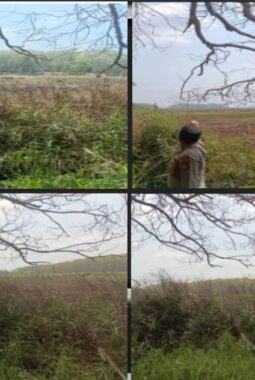 Hotspot Terdeteksi di Desa Bukit, Polsek Betung Lakukan Ground Check dan Tingkatkan Pencegahan Karhutla